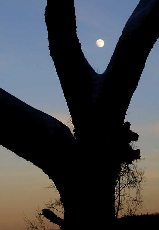 Licht und SchattenMond_DSC3381 Kopie.jpg